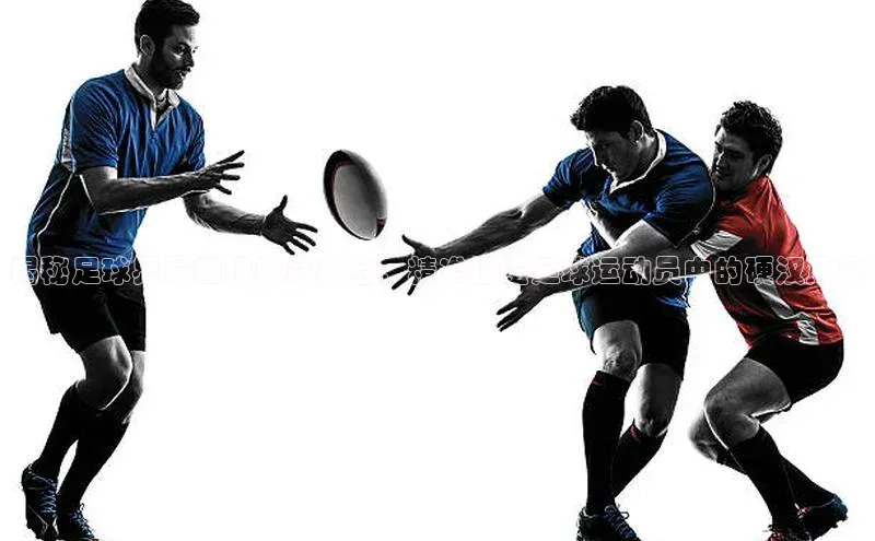 新宝登录app入口手机版雷柏科技揭秘足球界最凶狠球员排名，精准描绘足球运动员中的硬汉风采