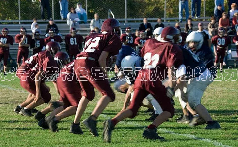 新宝gg创造奇迹登录注册玩法金山办公探寻水寨特色足球运动队的独特魅力