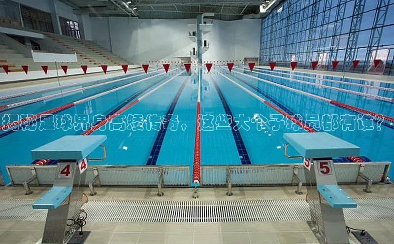 新宝网站登录入口百度搜索资源平台揭秘足球界身高矮传奇，这些大个子球员都有谁？