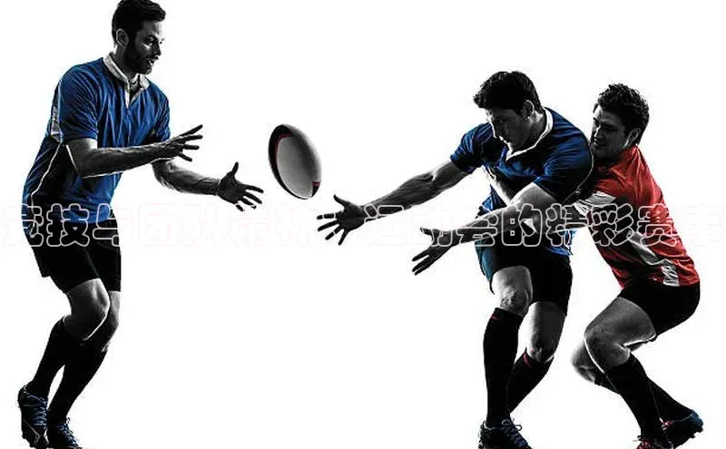 新宝GG手机版宇信科技竞技与团队精神：运动会的精彩赛事