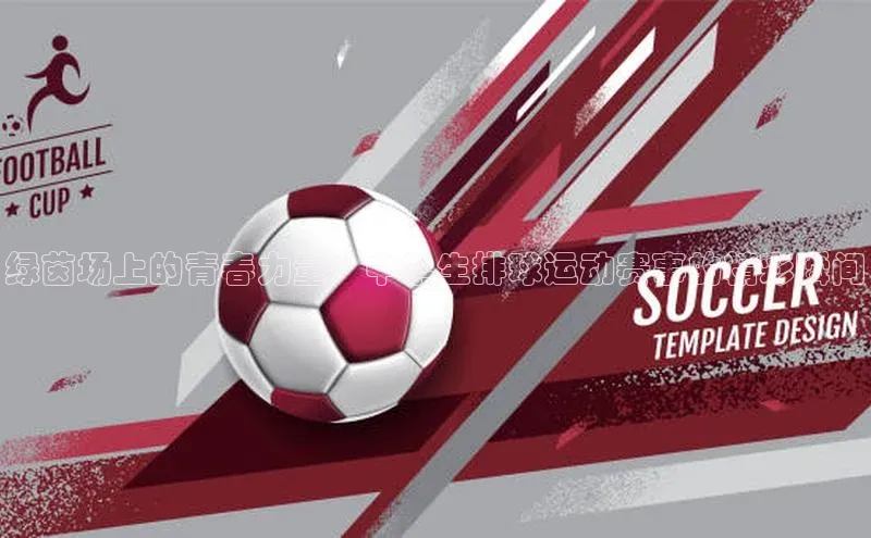 新宝gg平台注册文心一言绿茵场上的青春力量：中学生排球运动赛事的精彩瞬间