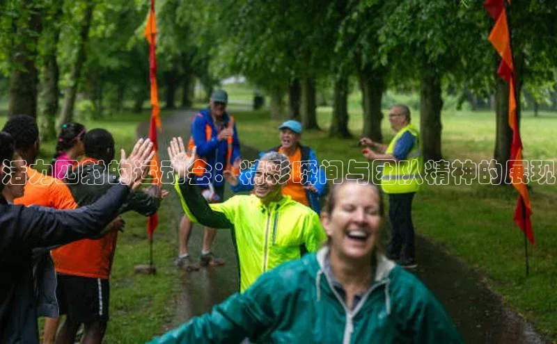 活力四射的运动会：精彩瞬间与团队精神的展现