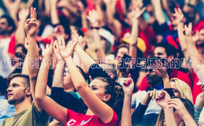 新宝gg创造奇迹官方登录入口