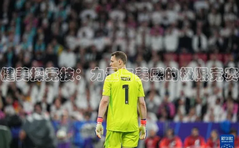 新宝登录app入口手机版