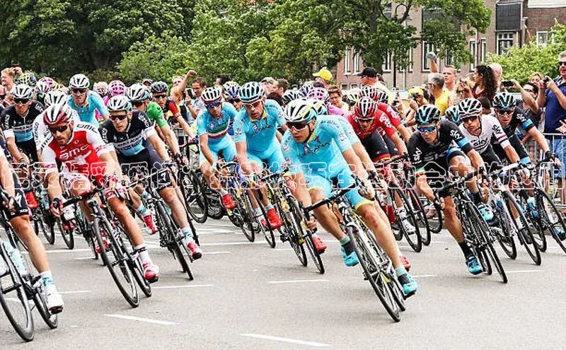 新宝登录app入口手机版