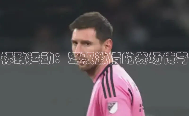 新宝登录app入口手机版