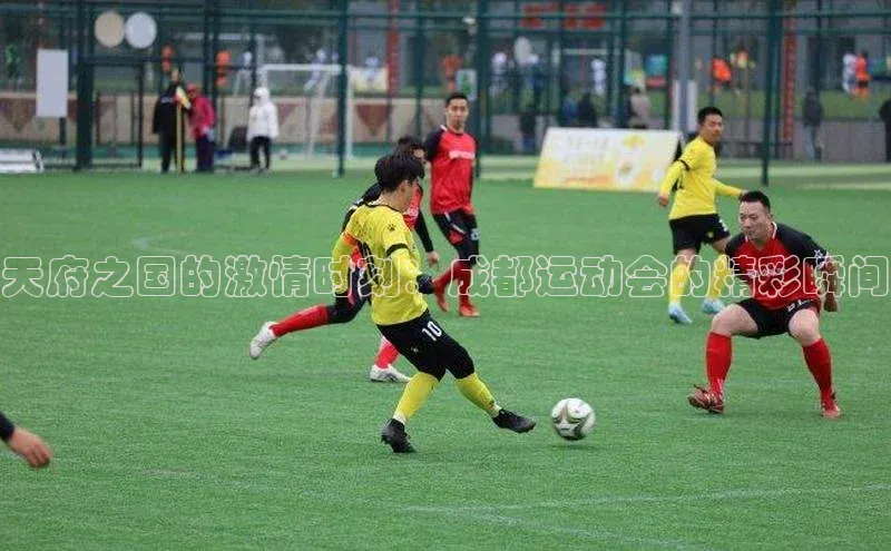 新宝网站登录入口