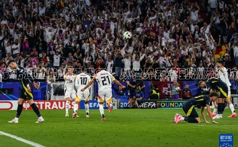 新宝登录app入口手机版