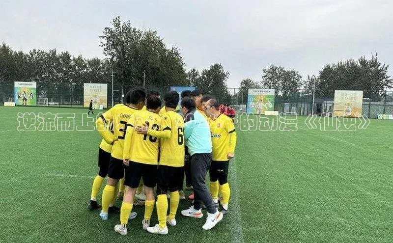 新宝gg一键登录